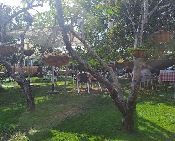 Albergue Vintecatro Caldas de Reis Kültér fotó